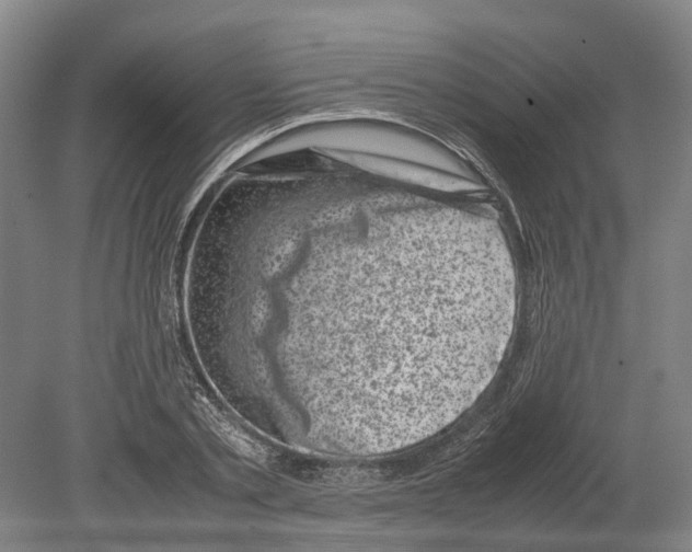 X0000080190789200701051722