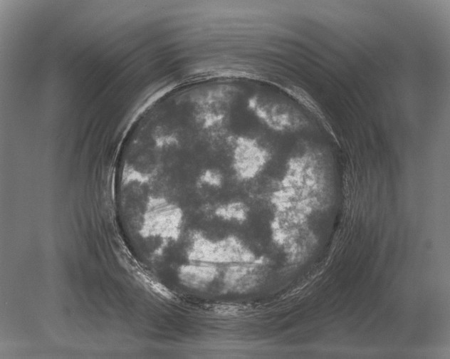 X0000080190790200701051722