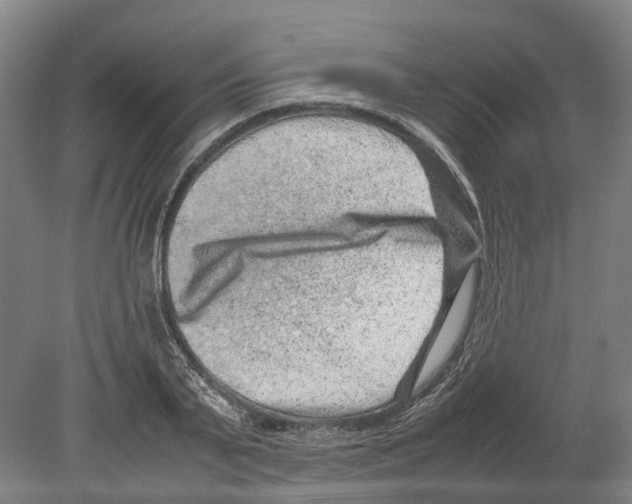 X0000080190791200701051722