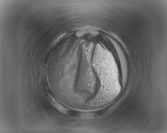 X0000080190793200701051721