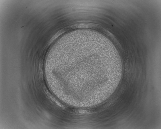 X0000080190794200701051721