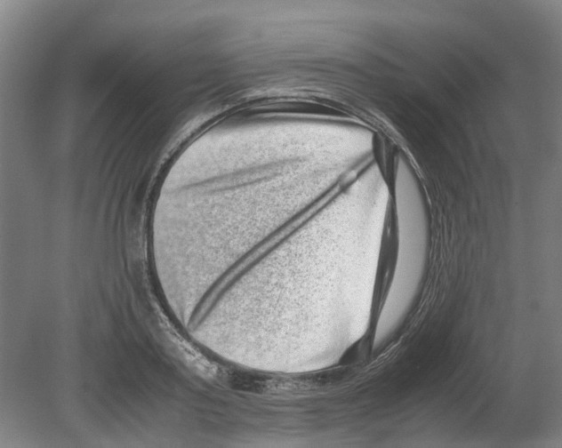 X0000080190795200701051721