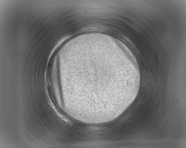 X0000080190796200701051721