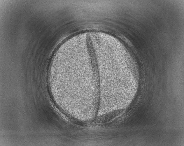 X0000080190799200701051721