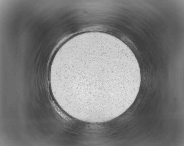 X0000080190800200701051721