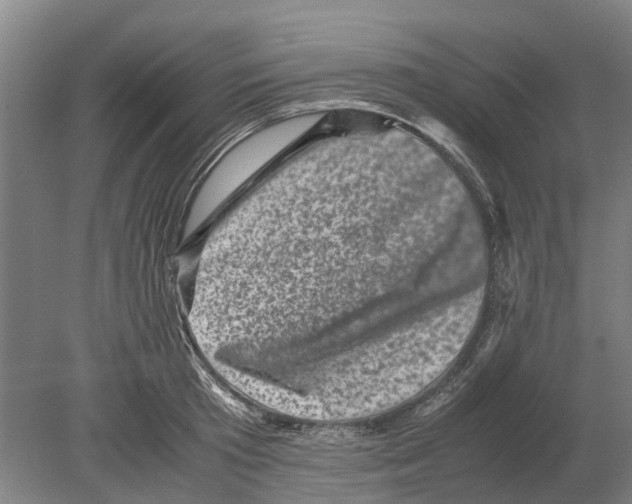 X0000080190801200701051721