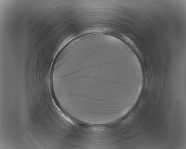 X0000080190802200701051721