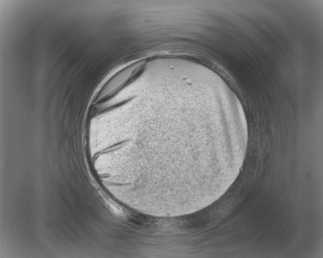 X0000080190803200701051721