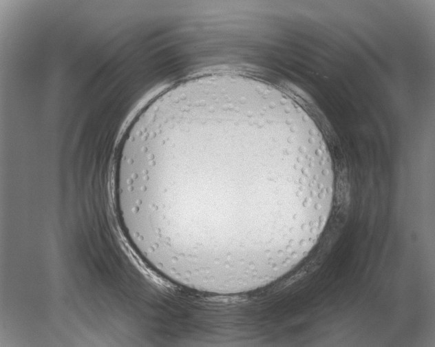 X0000080190804200701051721