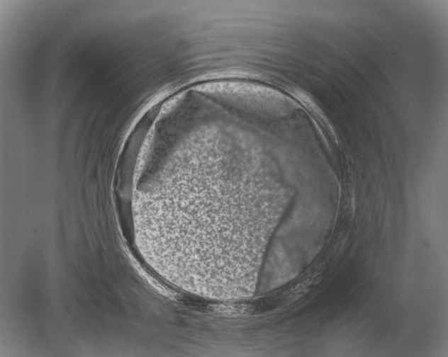 X0000080190805200701051721