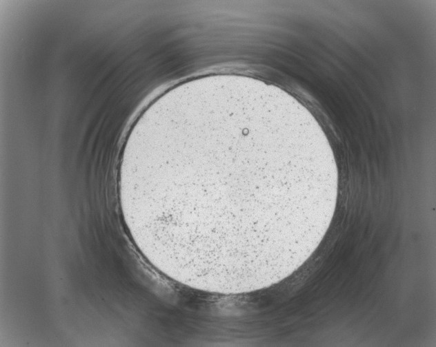 X0000080190808200701051721