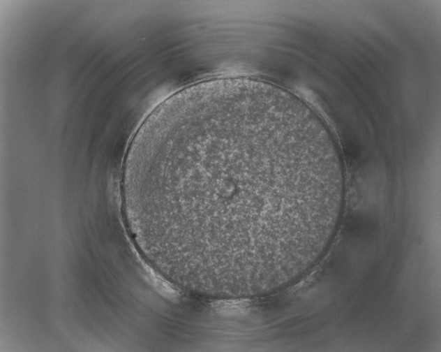 X0000080190810200701051721