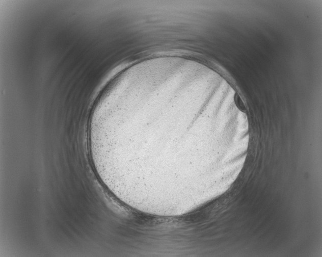 X0000080190811200701051721