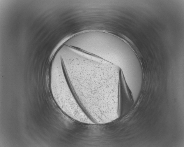 X0000080190812200701051721