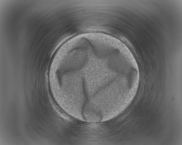 X0000080190814200701051721