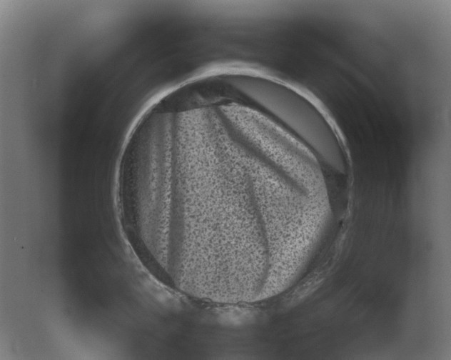 X0000080190815200701051721