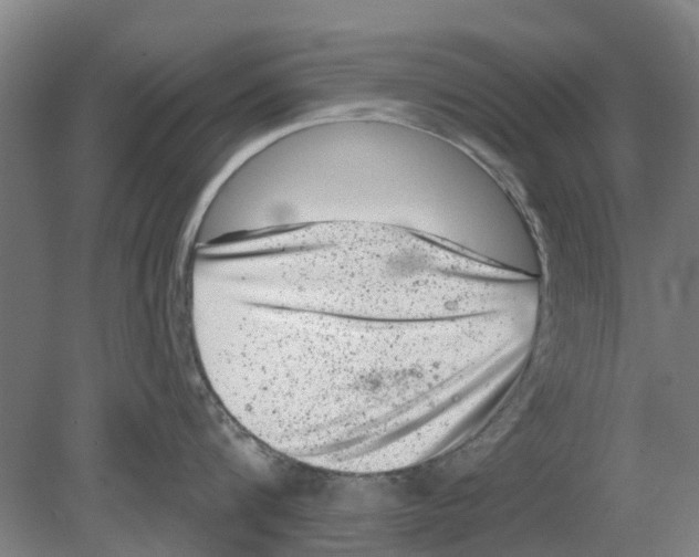 X0000080190816200701051721