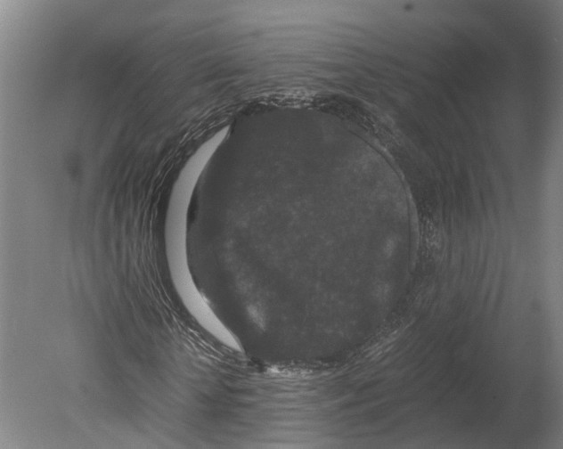 X0000080190818200701051720