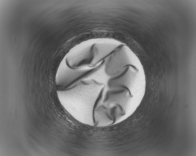 X0000080190821200701051720