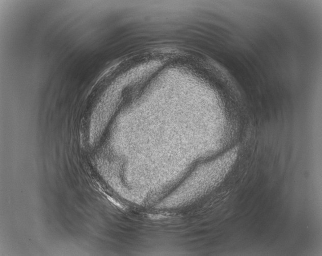 X0000080190823200701051720