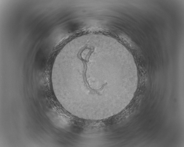 X0000080190824200701051720