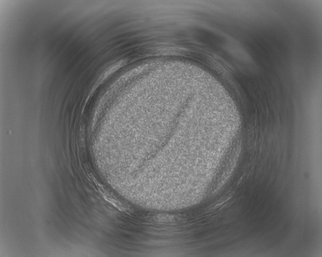 X0000080190827200701051720