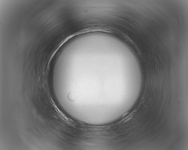 X0000080190828200701051720