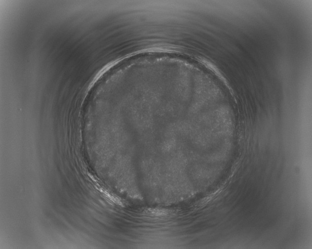 X0000080190829200701051720