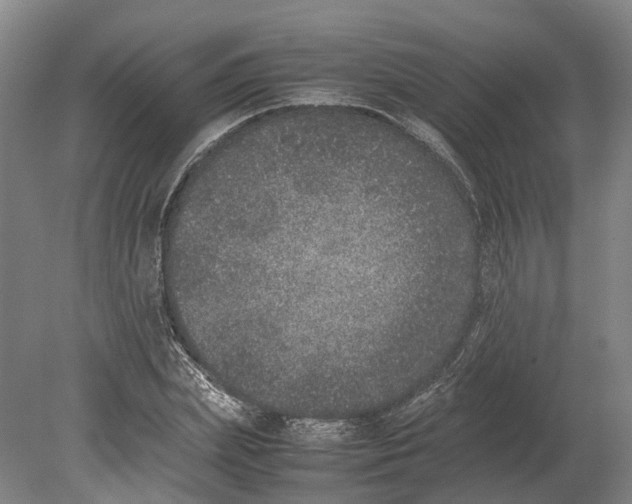 X0000080190831200701051721