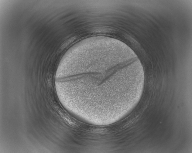 X0000080190833200701051721