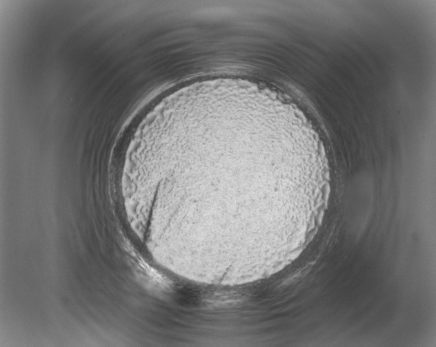 X0000080190835200701051721