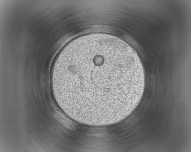 X0000080190836200701051721