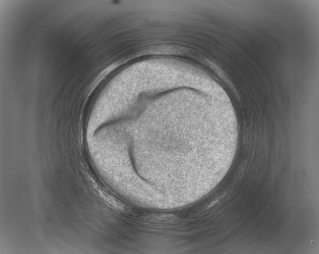 X0000080190837200701051721