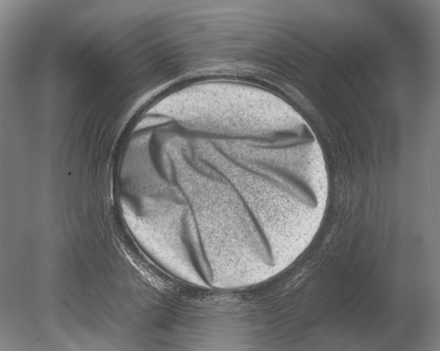 X0000080190838200701051721