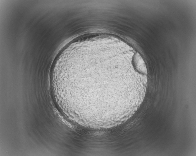 X0000080190839200701051721