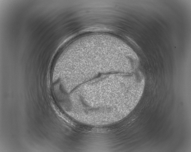 X0000080190840200701051721