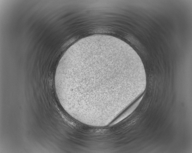 X0000080190841200701051721