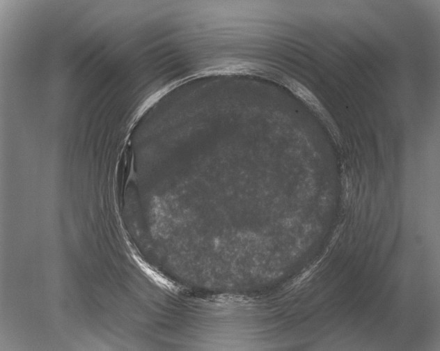 X0000080190842200701051721