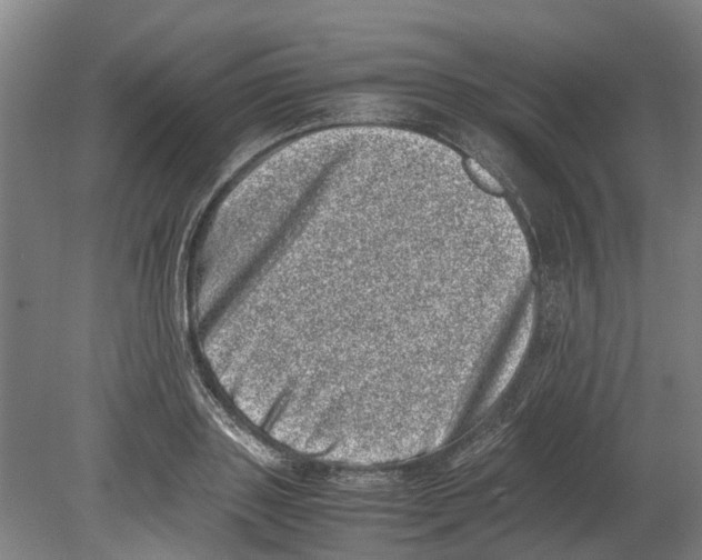 X0000080190843200701051721