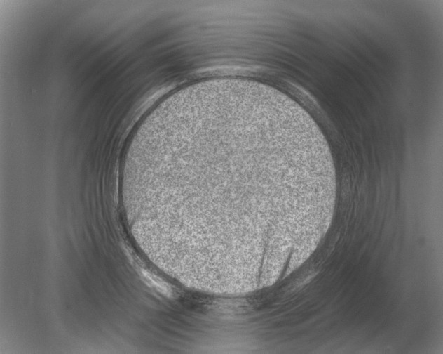 X0000080190844200701051721