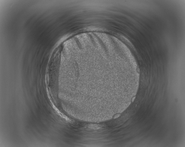 X0000080190847200701051721