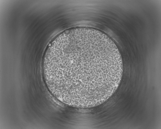 X0000080190848200701051721