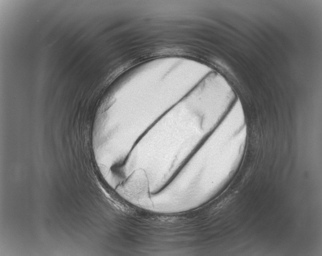 X0000080190849200701051721