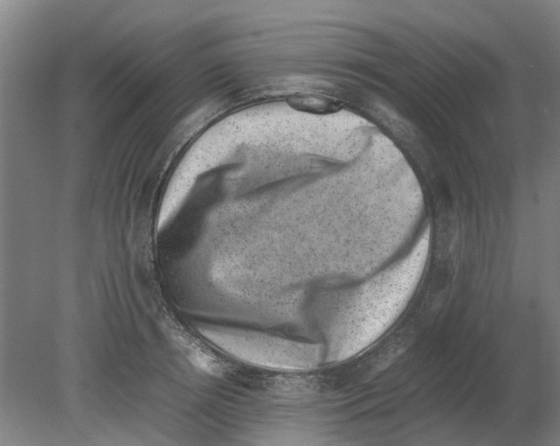 X0000080190850200701051721