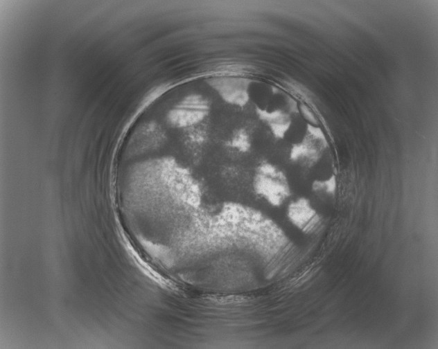 X0000080190851200701051721