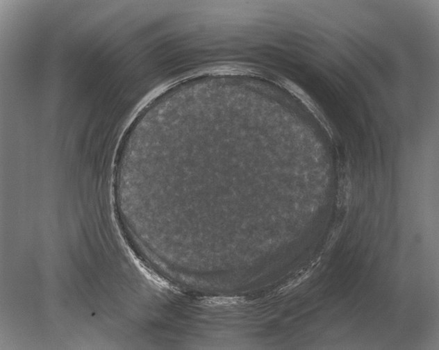 X0000080190853200701051721