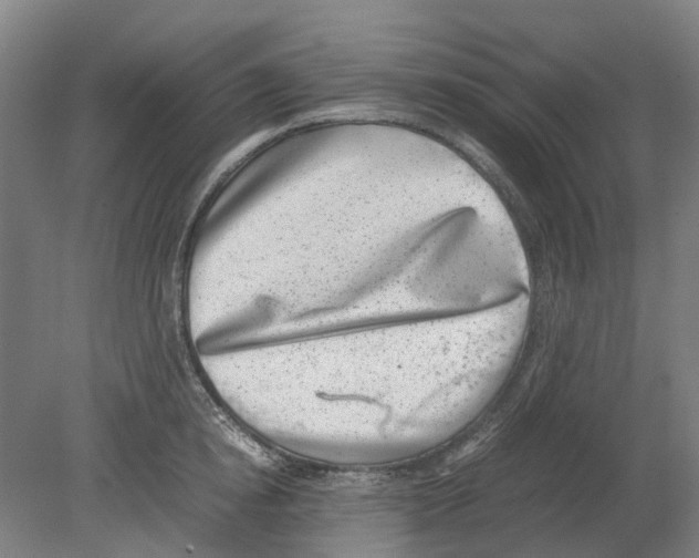 X0000080190854200701051721