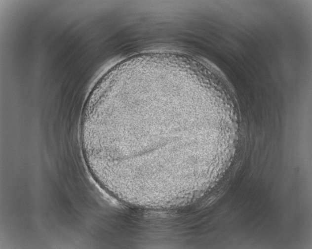 X0000080190855200701051721