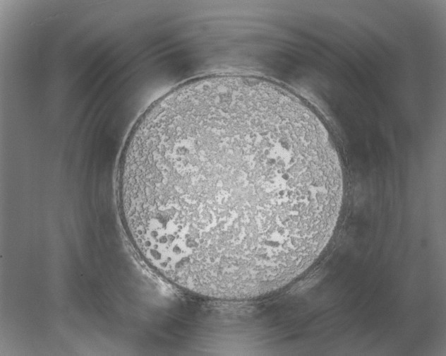 X0000080190856200701051721