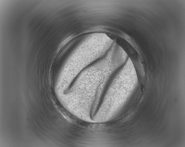 X0000080190858200701051721